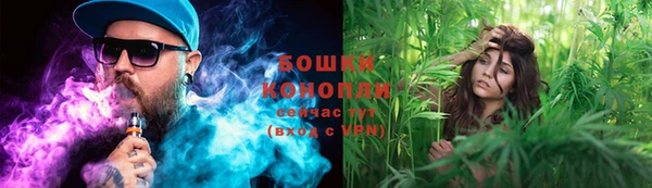 соль ск Новозыбков