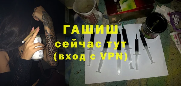 твердый Новодвинск
