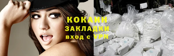твердый Новодвинск
