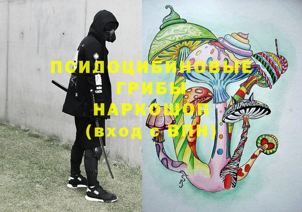 соль ск Новозыбков