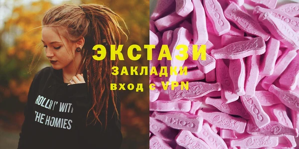 соль ск Новозыбков