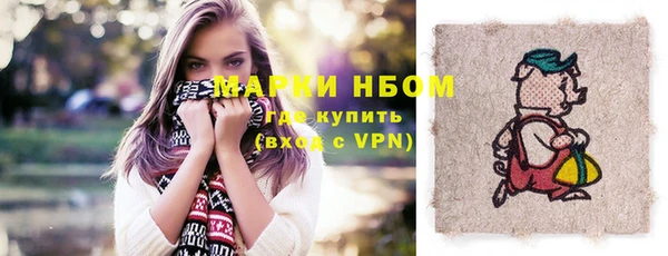 твердый Новодвинск
