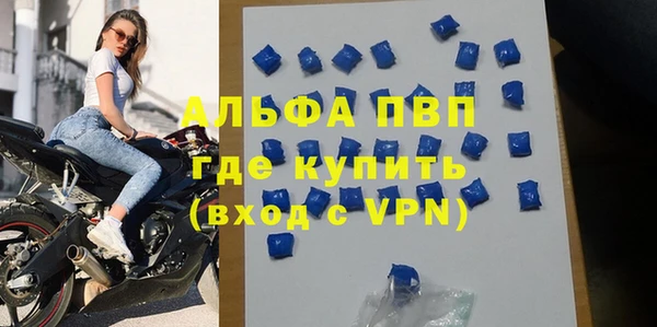 соль ск Новозыбков
