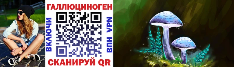 где купить наркоту Любань Псилоцибиновые грибы MAGIC MUSHROOMS